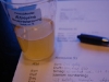 Ufiltreret æblejuice-most - Blindsmagning april 2009 - Vurdering