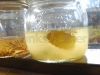 Hjemmelavet spiritus - Hyldeblomst brændevin med saften af en ½ citron og nogle mynteblade.